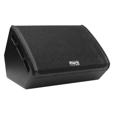 Park Audio SM124-P - активний монітор для підлоги