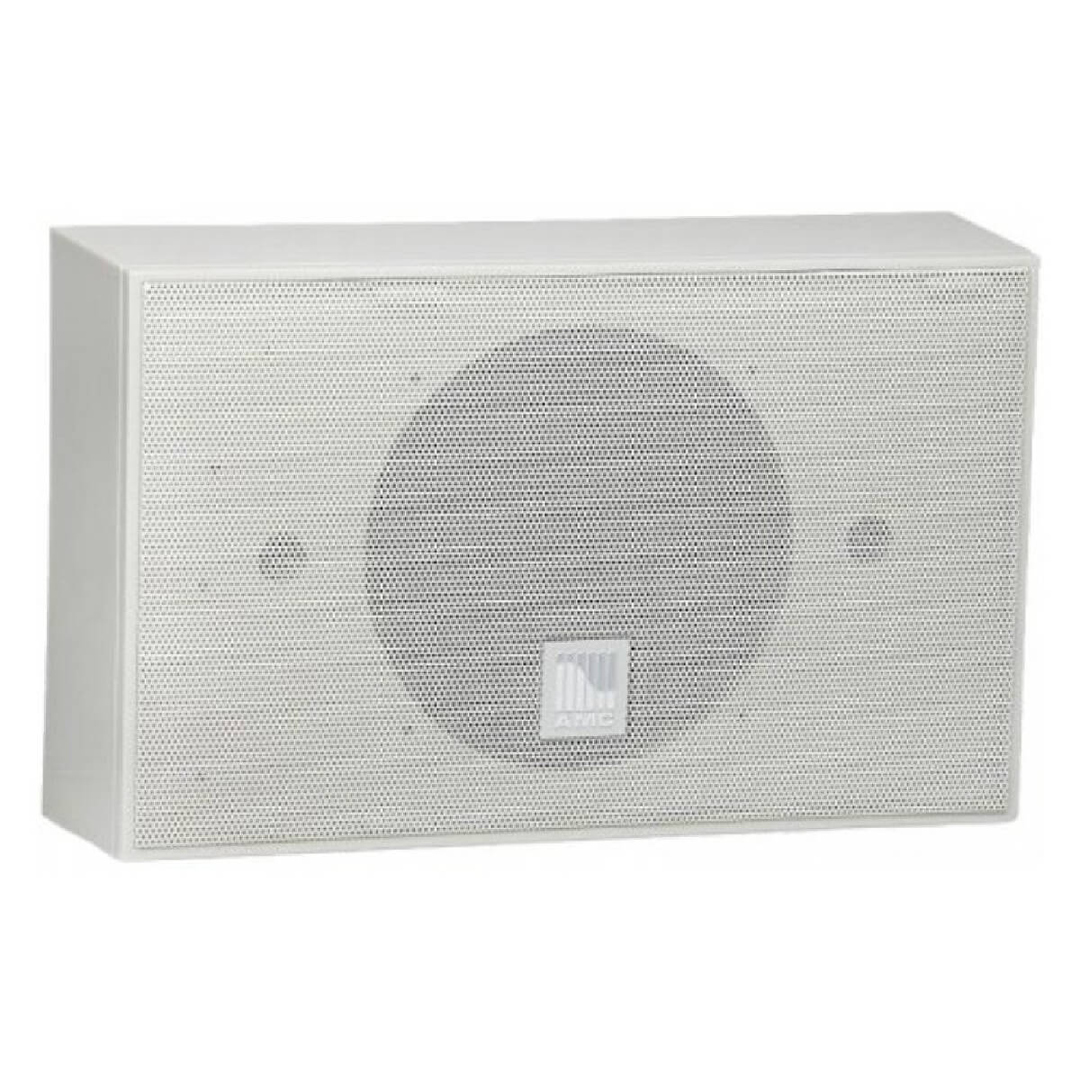 Настінна акустична система AMC iSpeak 6 White (RAL9016)