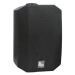 Настенная акустическая система VIVA 5 Black (RAL 9017)