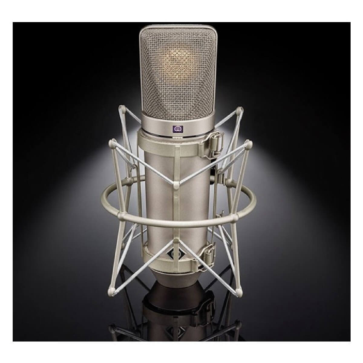 Neumann U 67 Set