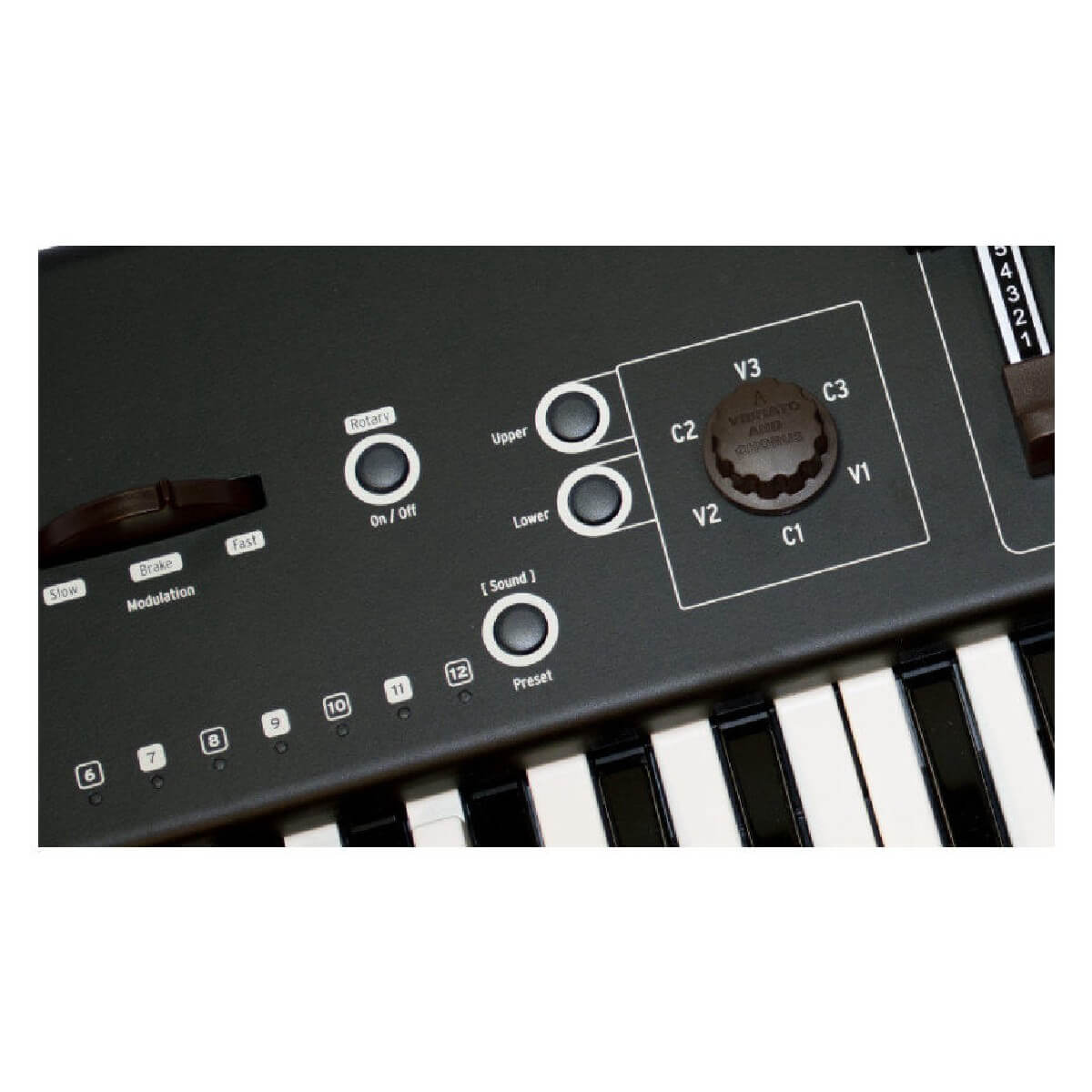 Fatar-Studiologic Numa ORGAN 2