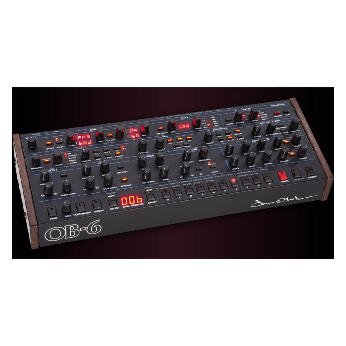 Dave Smith Instruments OB-6 Module
