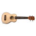 PARKSONS UK21C
