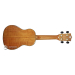 PARKSONS UK21MS