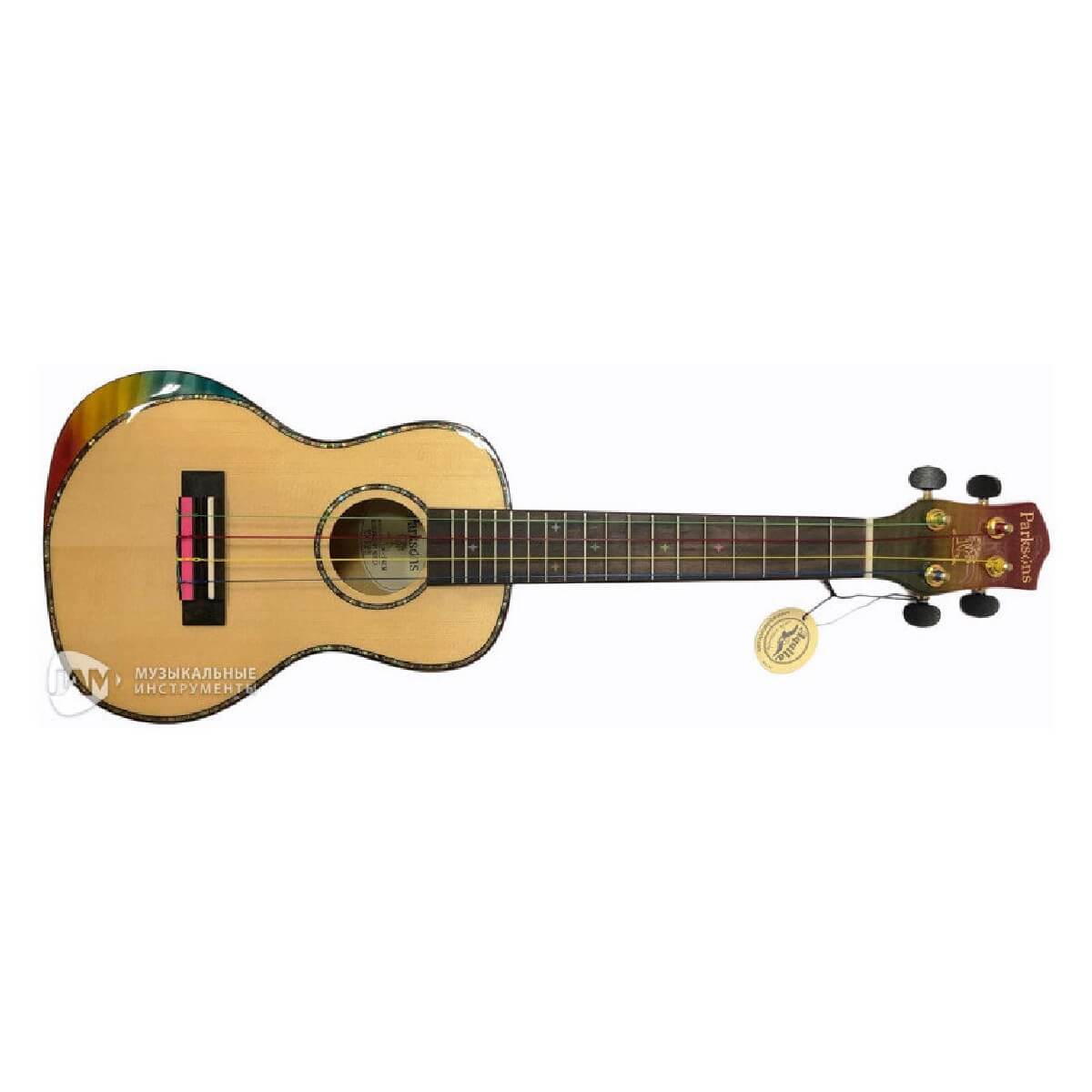 PARKSONS UK24EM