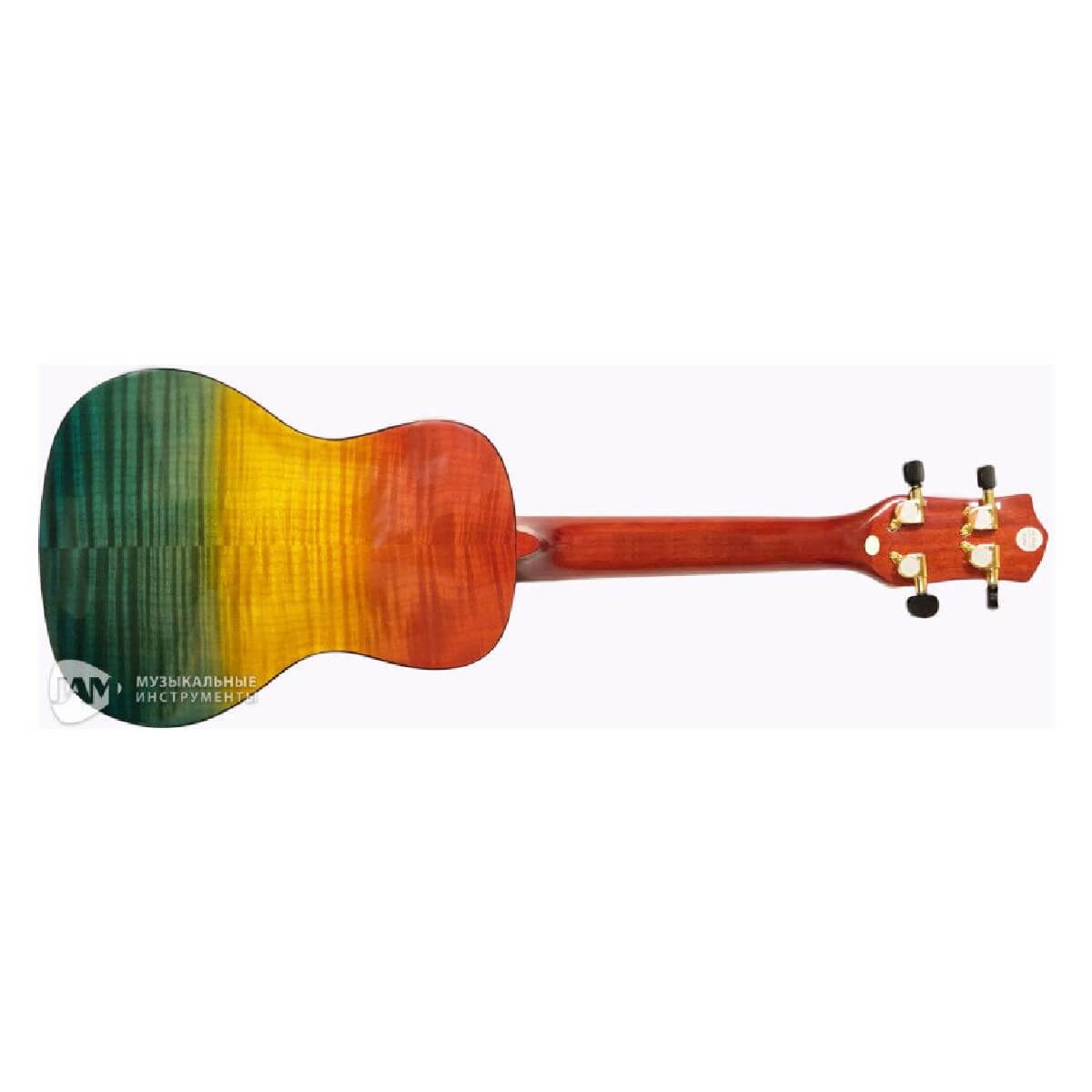PARKSONS UK24EM