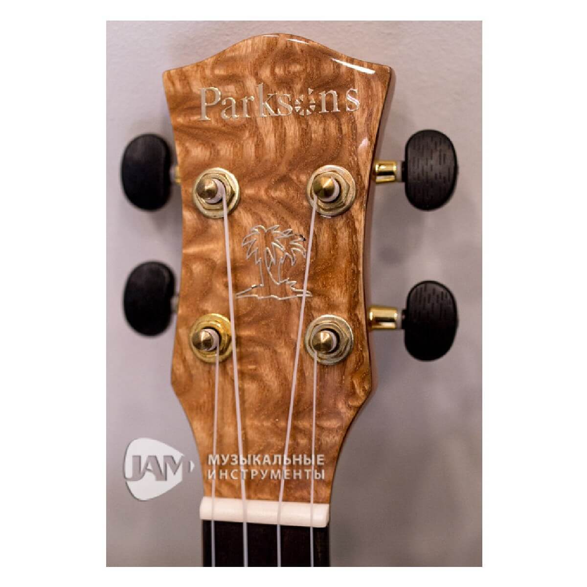 PARKSONS UK24FS