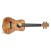 PARKSONS UK24MS