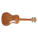 PARKSONS UK24MS