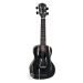 PARKSONS UKR24C