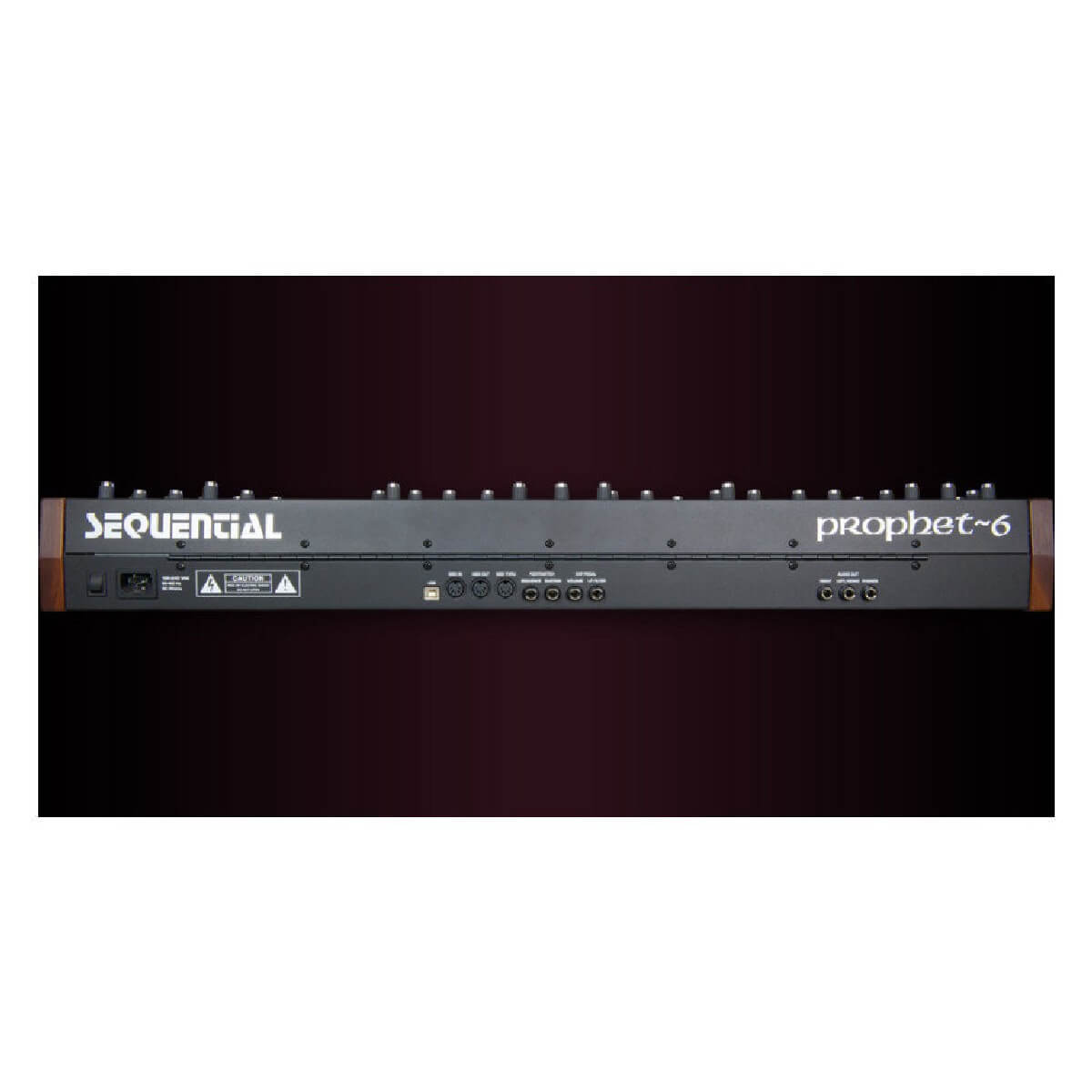 Dave Smith Instruments Prophet-6 Keyboard