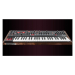 Dave Smith Instruments Prophet-6 Keyboard