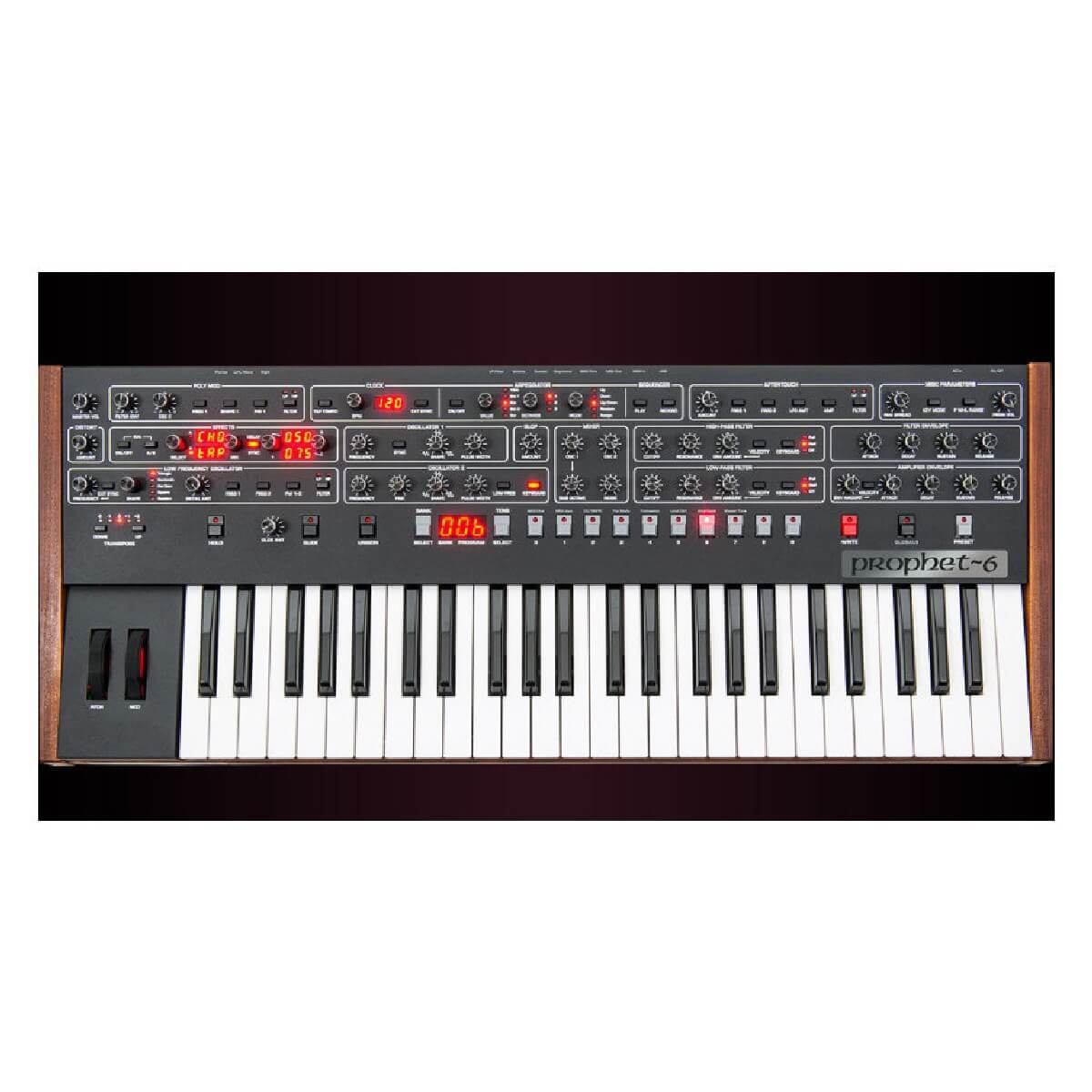 Dave Smith Instruments Prophet-6 Keyboard