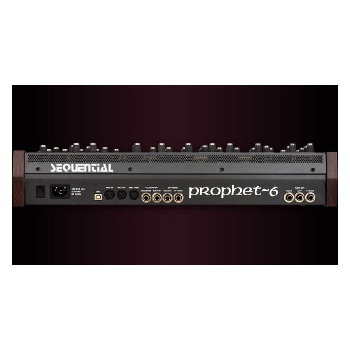 Dave Smith Instruments Prophet-6 Module