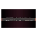 Dave Smith Instruments Prophet Rev 2 – 16 Voice