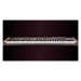 Dave Smith Instruments Prophet Rev 2 – 16 Voice