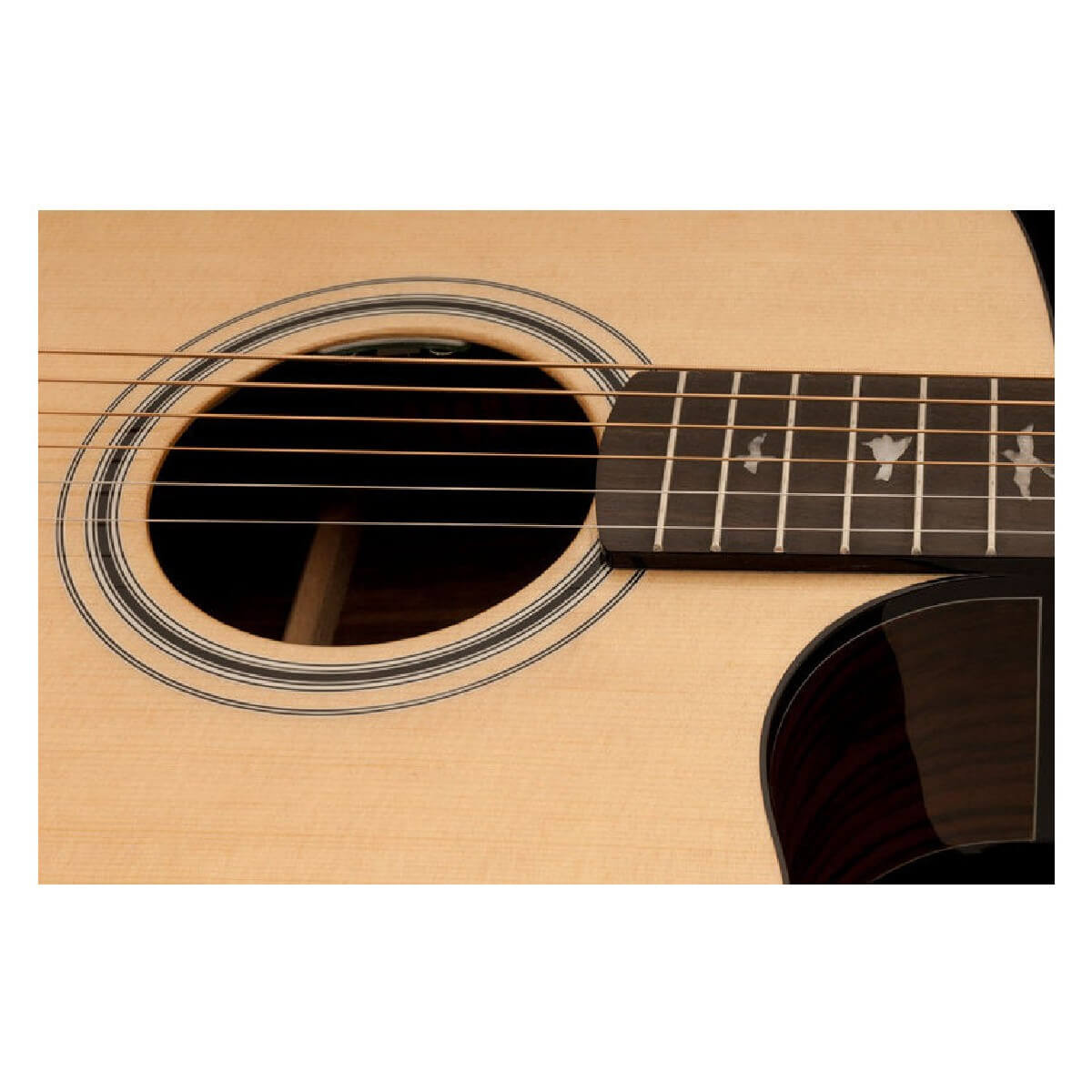 PRS SE ANGELUS A30E