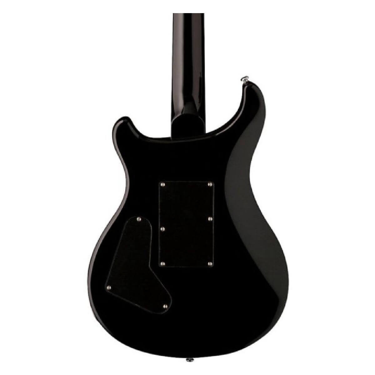 PRS SE FLOYD CUSTOM 24 (GRAY BLACK)