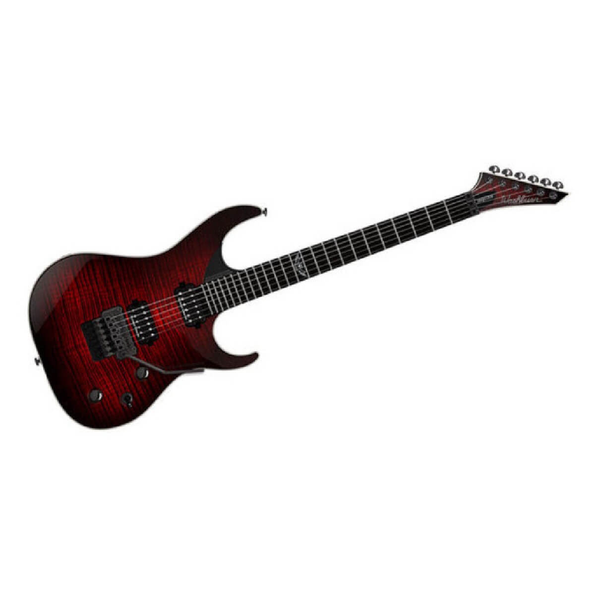 Washburn PXS10FRDLXWB
