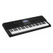 Синтезатор CASIO CT-X800