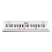 Синтезатор Casio LK-247