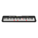 Синтезатор Casio Casiotone LK-S250