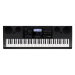 Синтезатор CASIO WK-6600K7