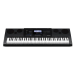 Синтезатор CASIO WK-6600K7