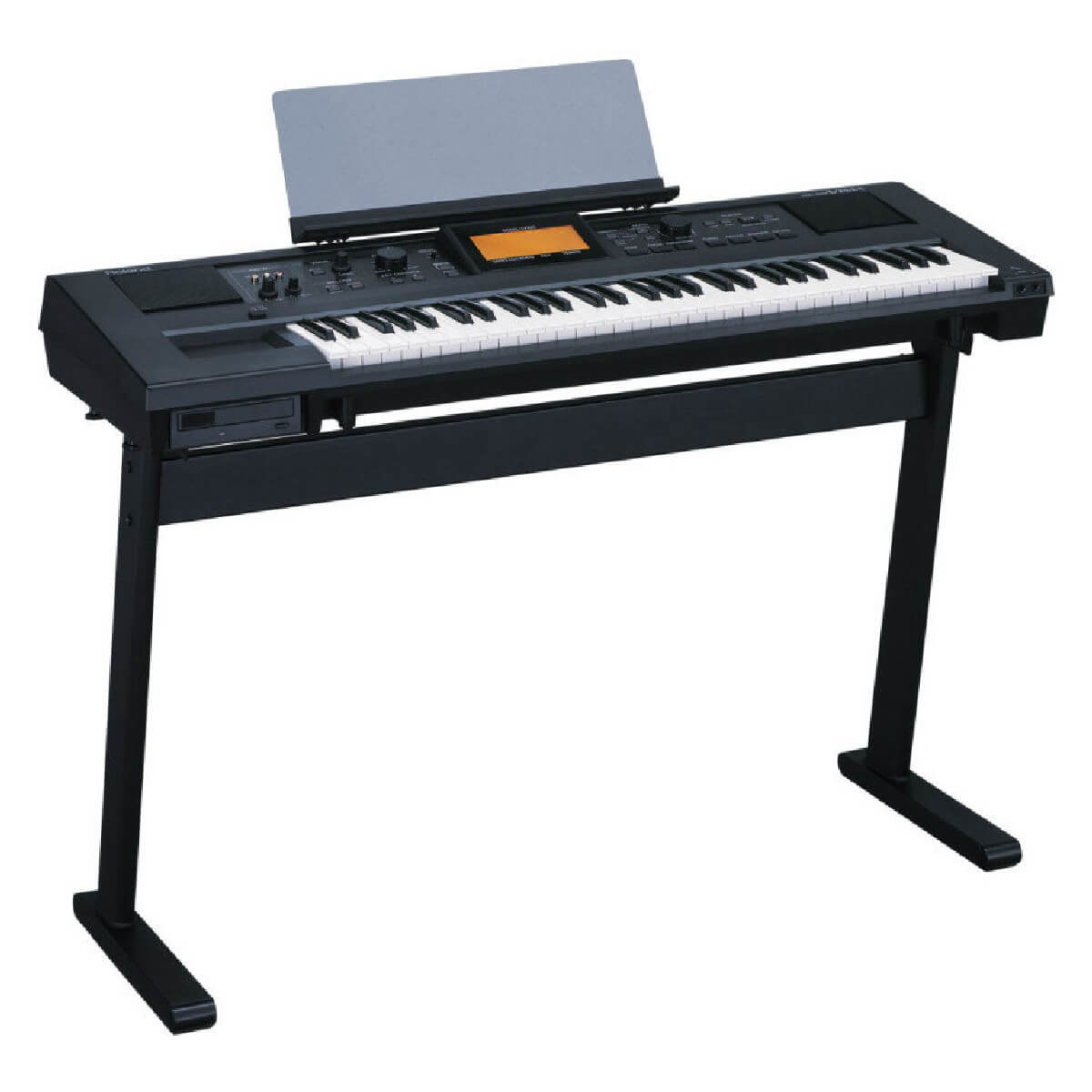 Синтезатор ROLAND VIMA RK-100