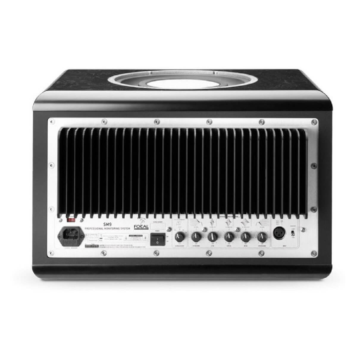 Focal SM9 Right