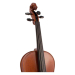 STENTOR 1551/Q CONSERVATOIRE VIOLA 16''