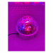 Світловий LED прилад STLS Led Gobo Ball