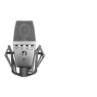 sE Electronics T2