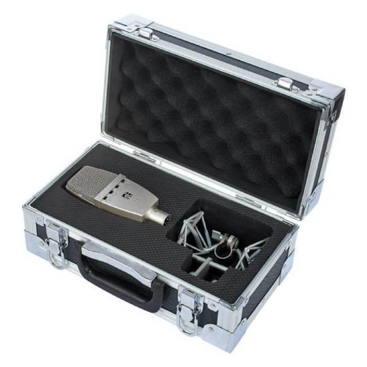 sE Electronics T2