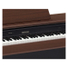 Цифрове піаніно Casio AP-250BN