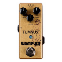 WAMPLER TUMNUS