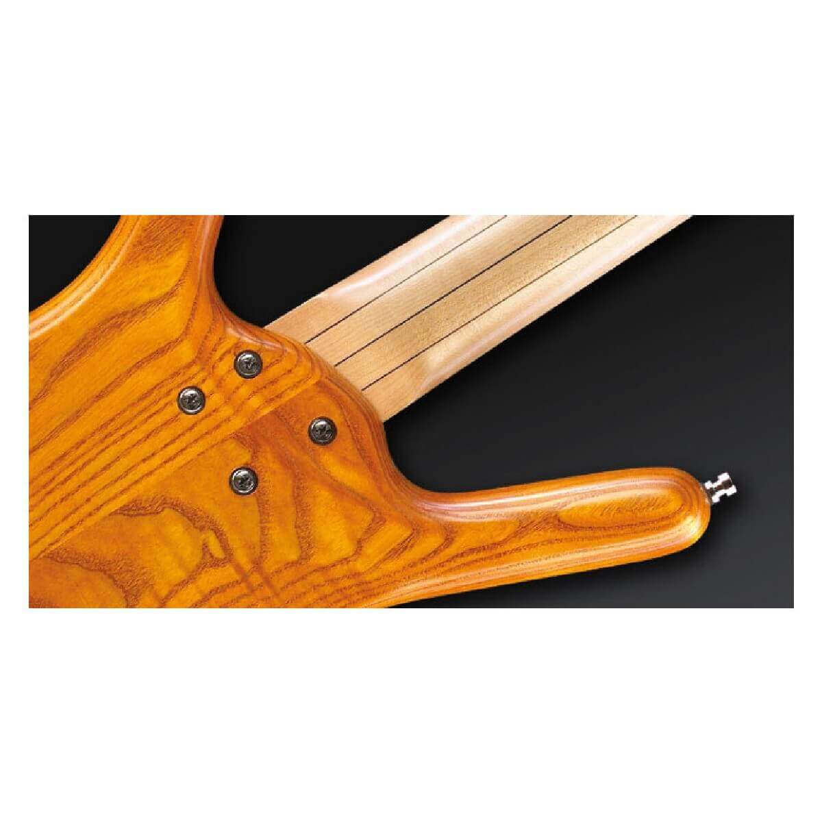 WARWICK ROCKBASS CORVETTE $$ 5 (HONEY VIOLIN OFC)