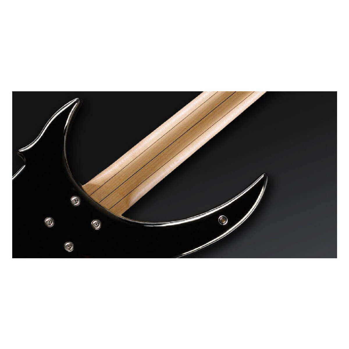 WARWICK ROCKBASS VAMPYRE 5 (BLACK HP)