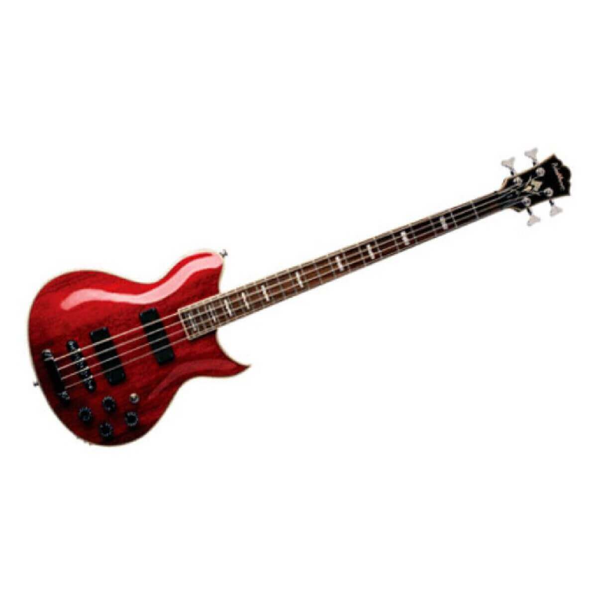 Washburn WB66 TRK
