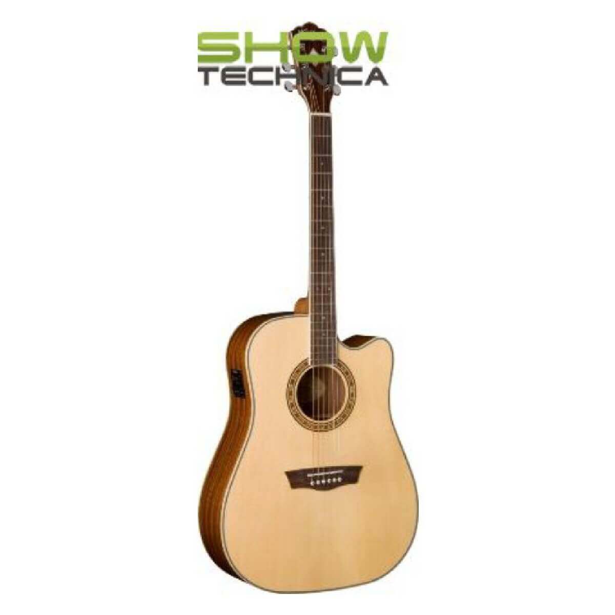Washburn WD10 SCENS
