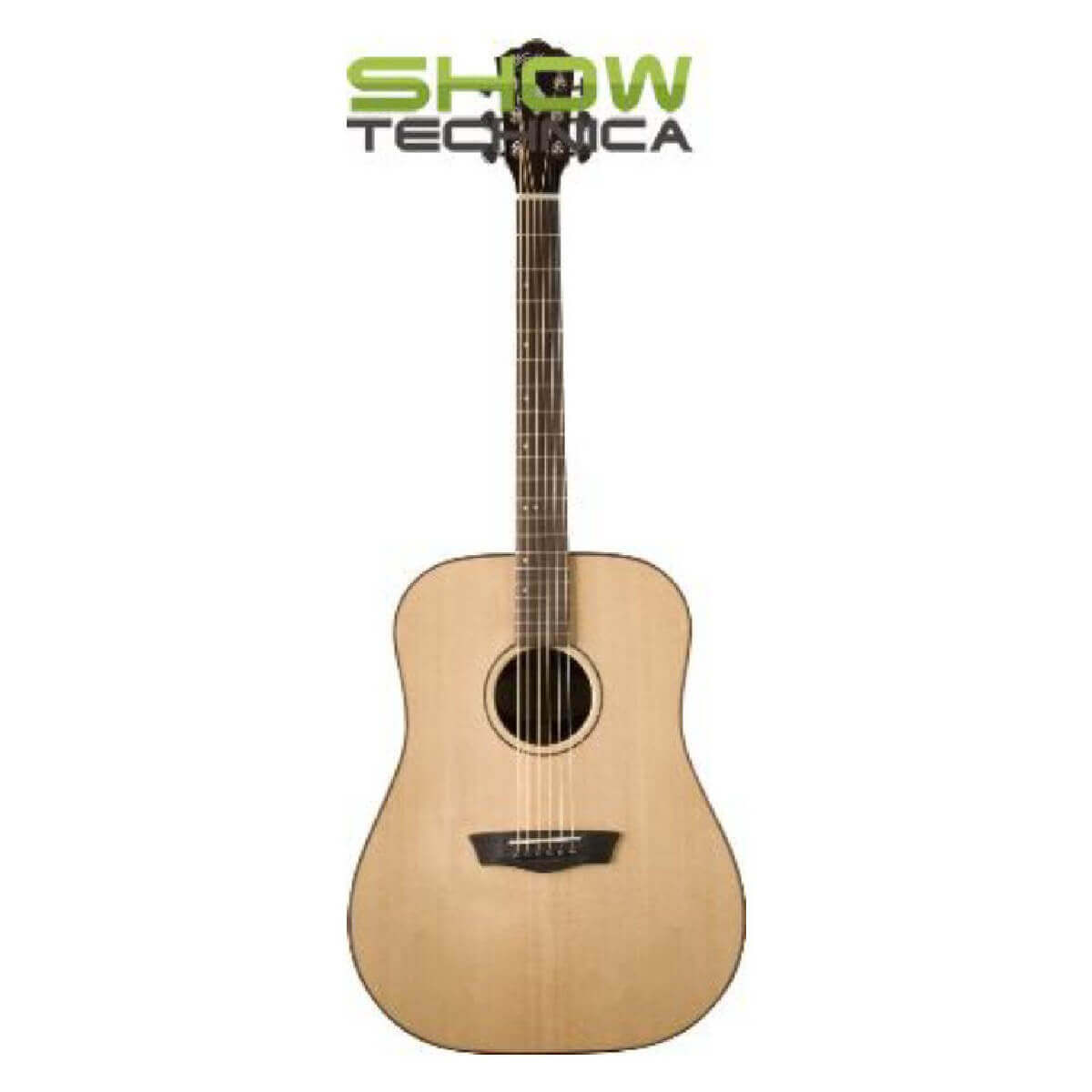 Washburn WD250 SW