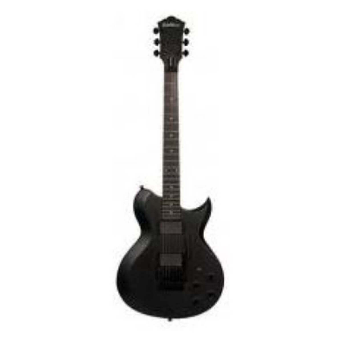 Washburn WI200V PRO ECK