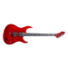 Washburn WM24PRO EMRK