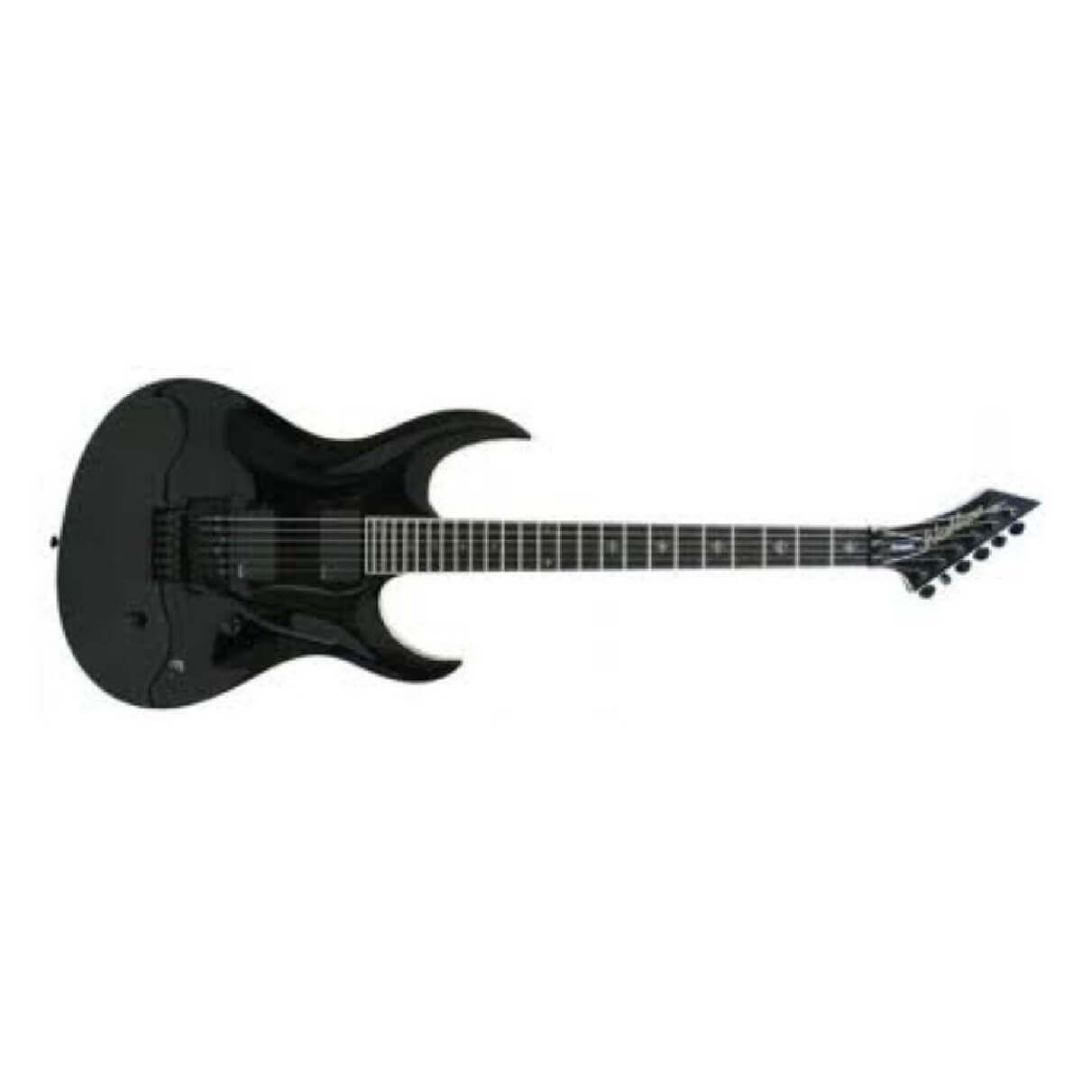 Washburn WM24V PRO EBK