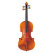 YAMAHA BRAVIOL V20SG 4/4