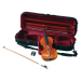 YAMAHA BRAVIOL V20SG 4/4