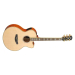 YAMAHA CPX1000 (NAT)