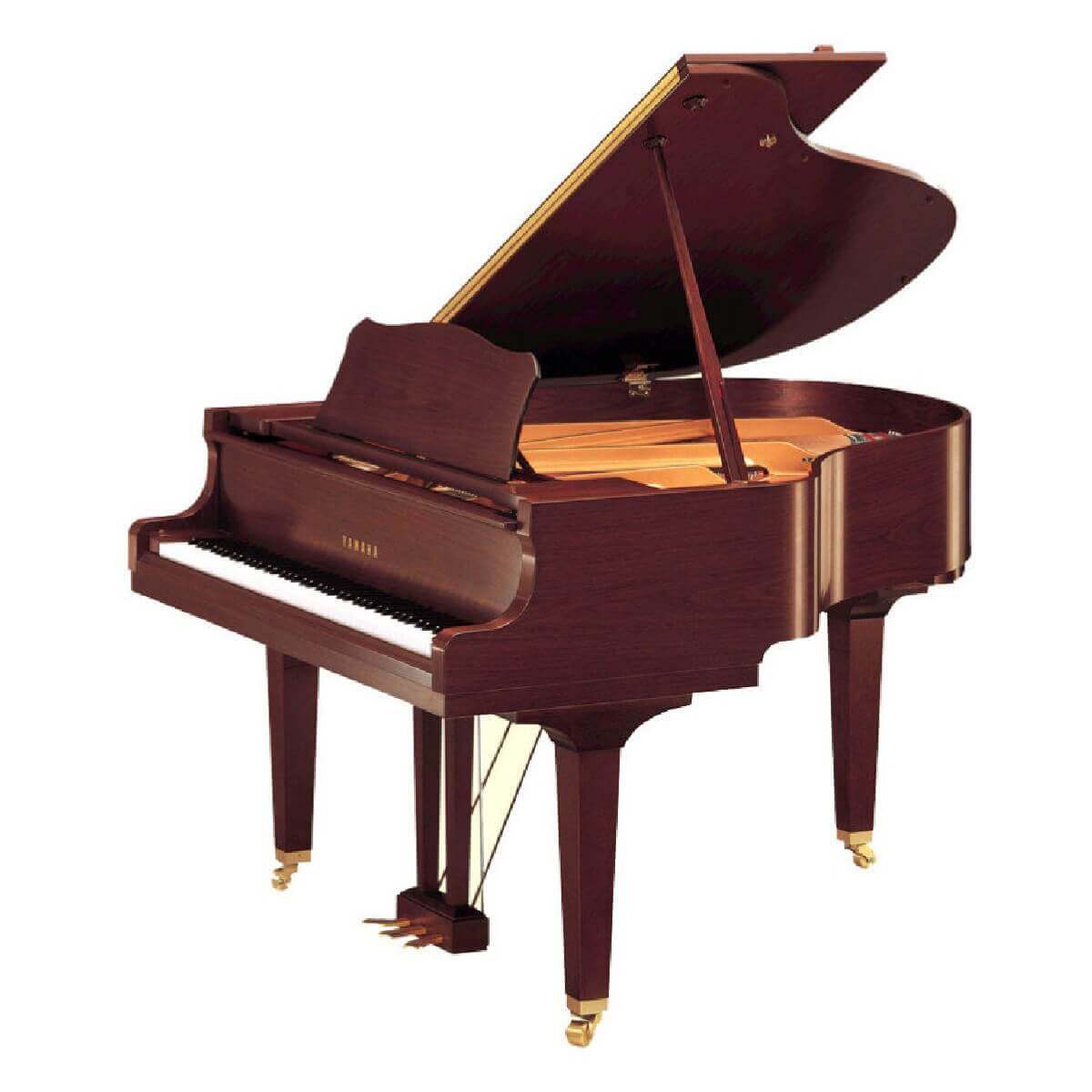 YAMAHA GC1 (PM)