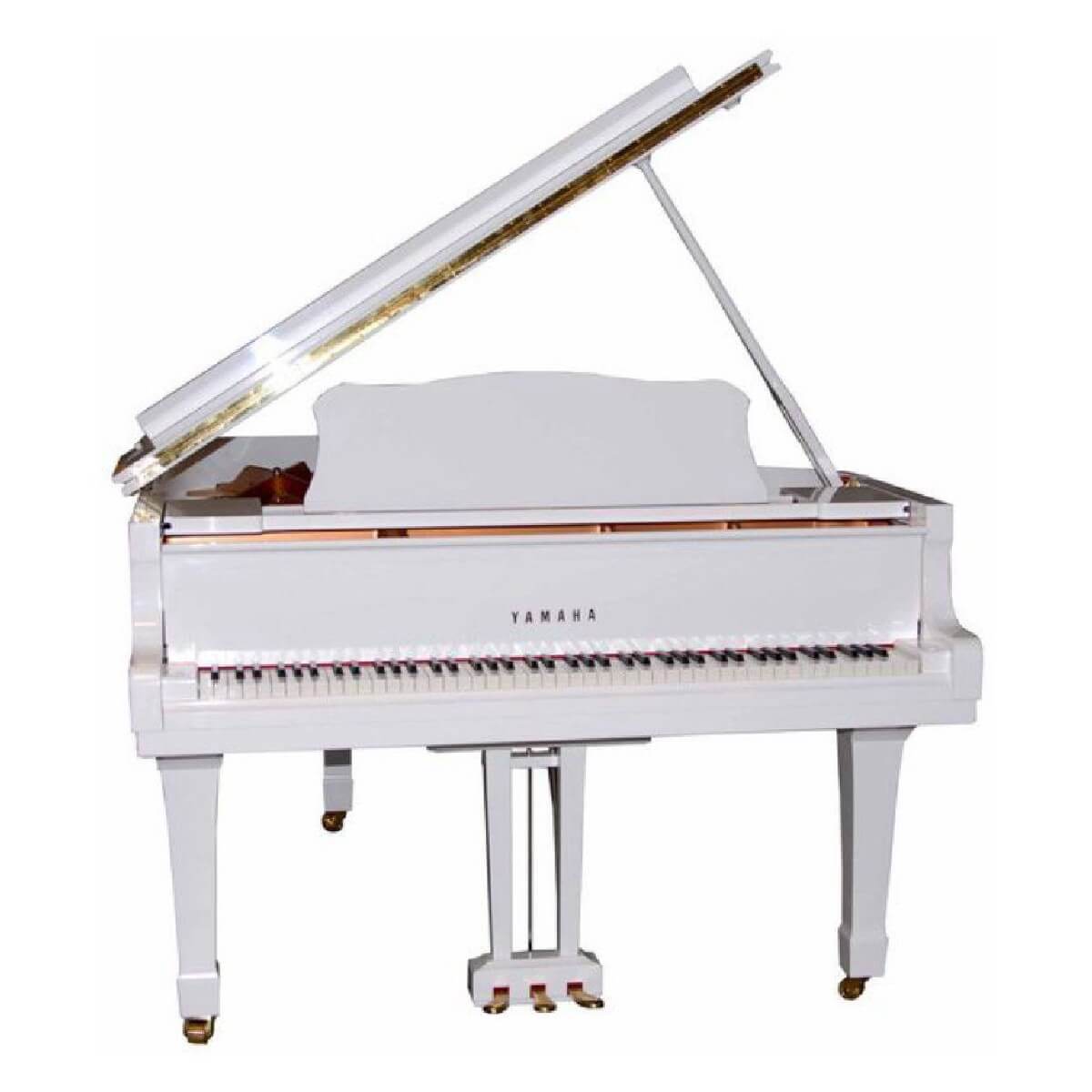 YAMAHA GC1 (PWH)