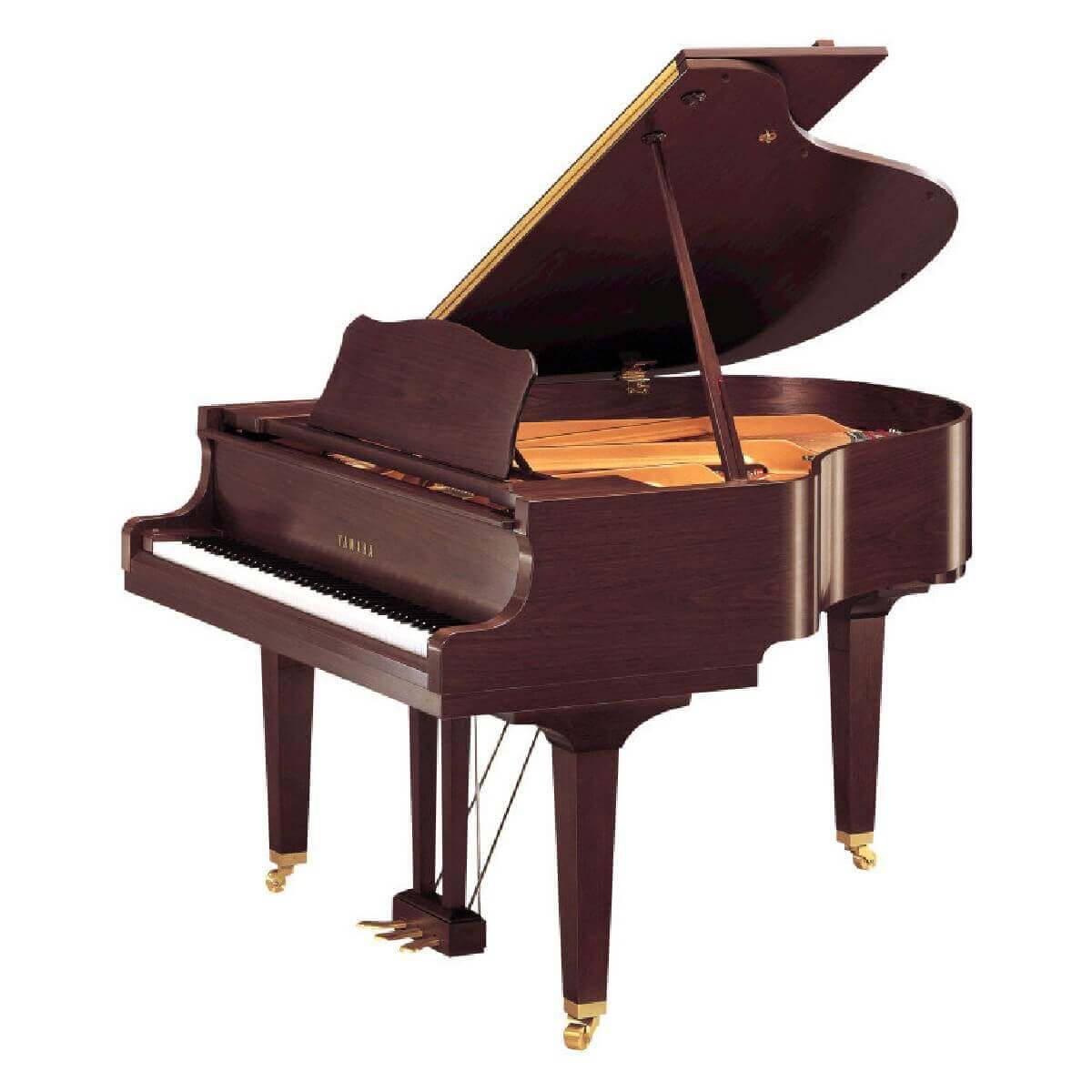 YAMAHA GC1 (SAW)